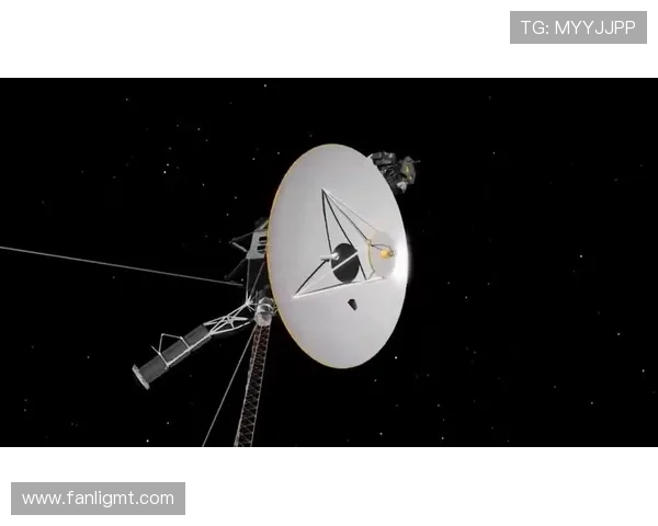 王中王：一部颠覆你想象的史诗级巨制